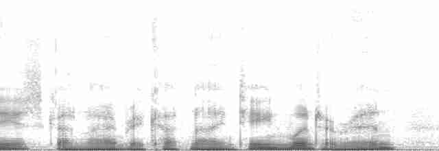 Pacific Wren (pacificus Group) - ML63289