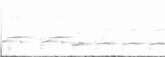 orel bělohlavý - ML63294111