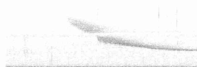  - Red-winged Wood-Rail