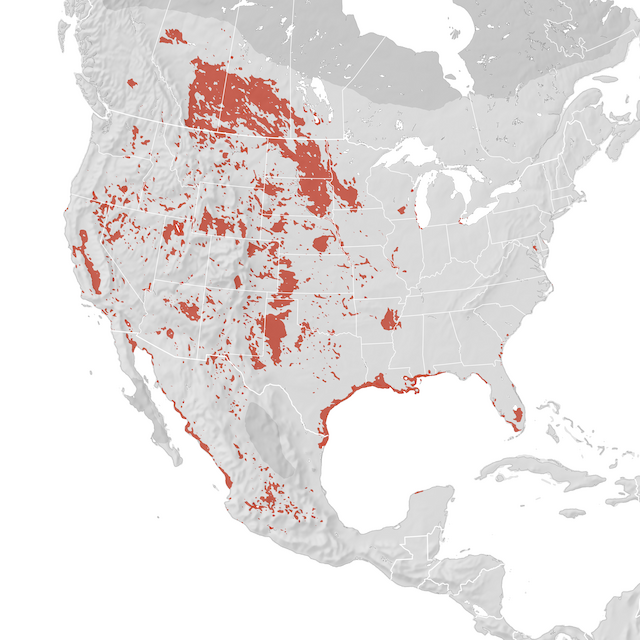 Range Map
