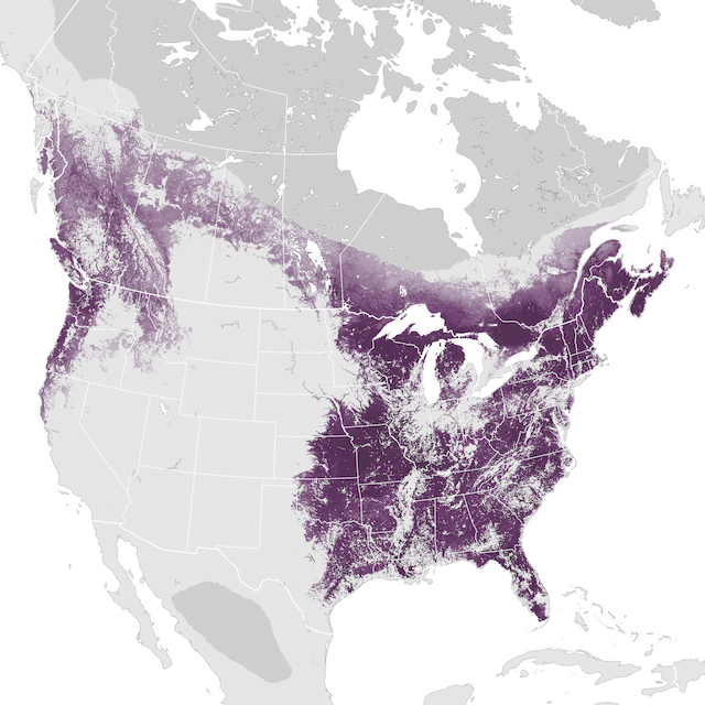 Abundance Map