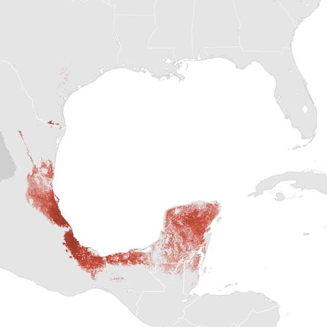 Abundance Map