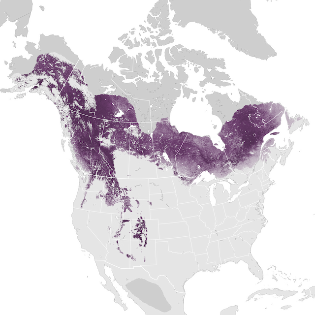 Abundance Map