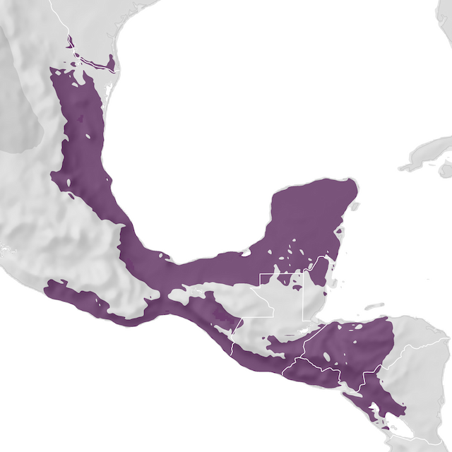 Range Map