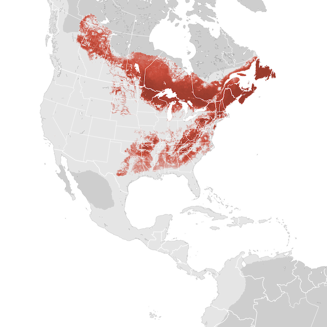 Abundance Map