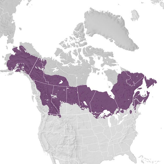 Range Map