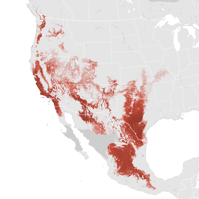 Abundance Map