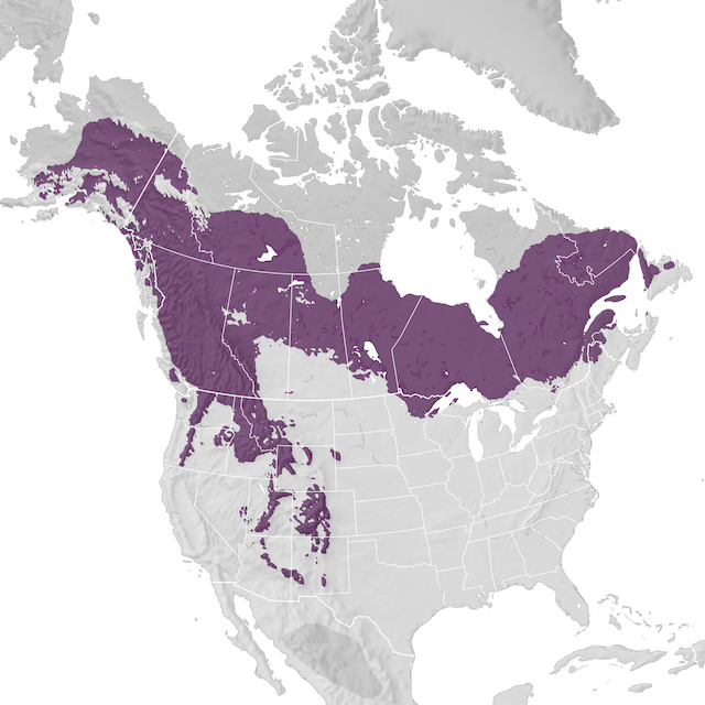 Range Map