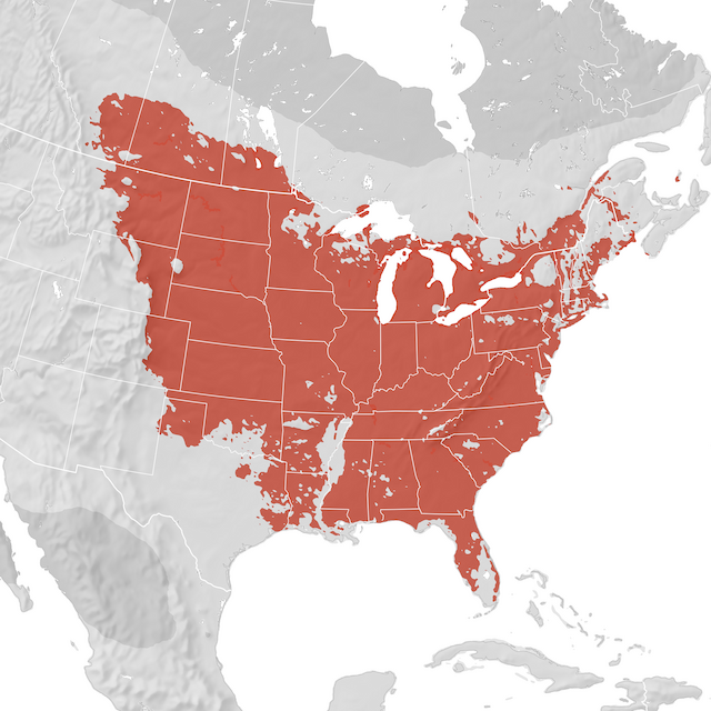 Range Map