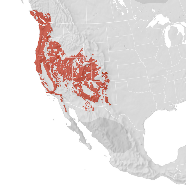 Range Map