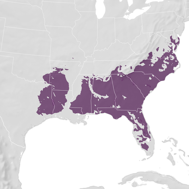 Range Map