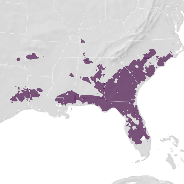 Range Map