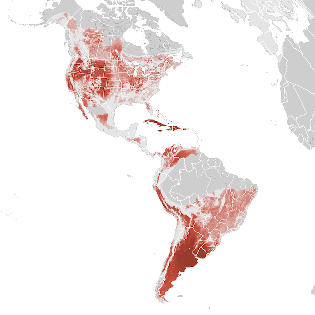 Abundance Map