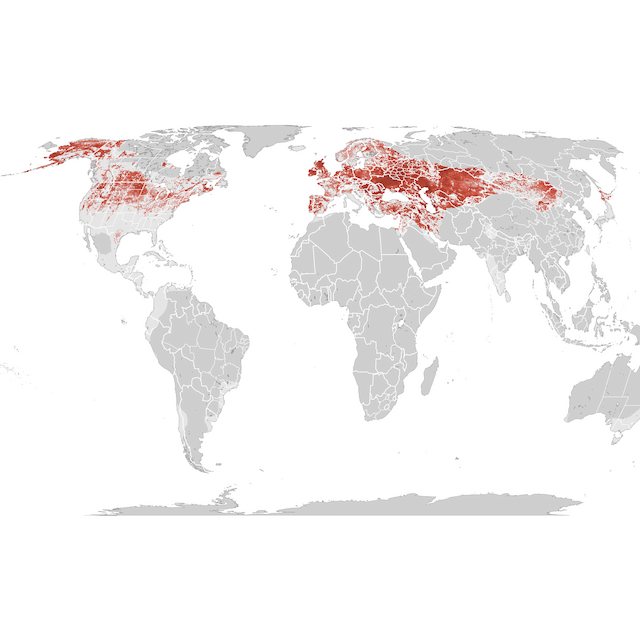 Abundance Map