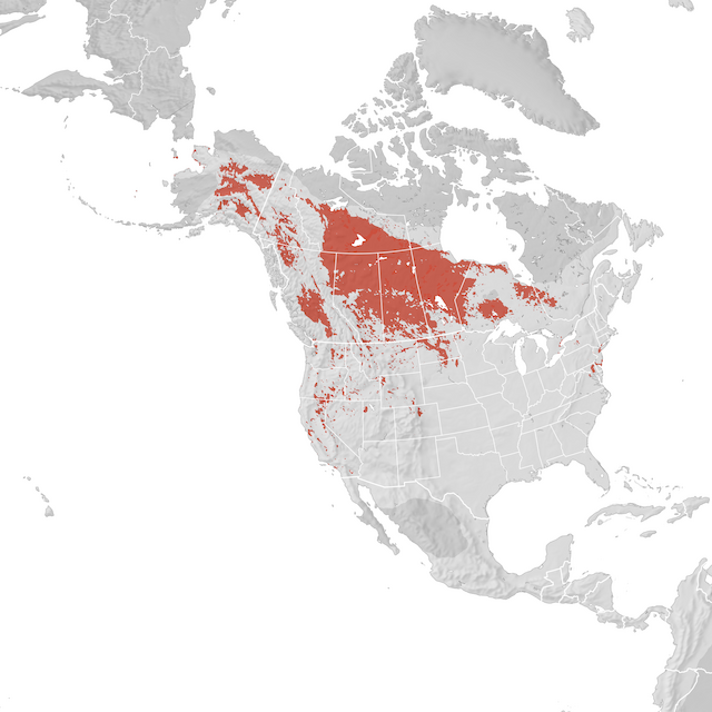 Range Map