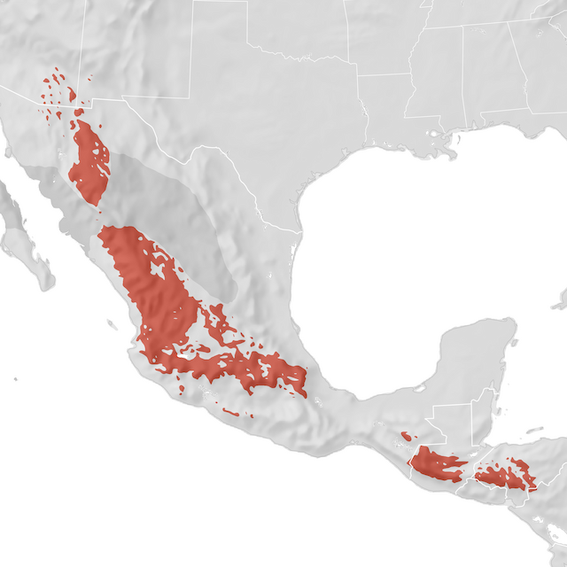Range Map
