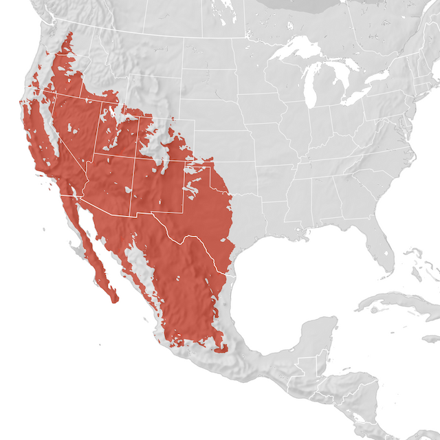 Range Map