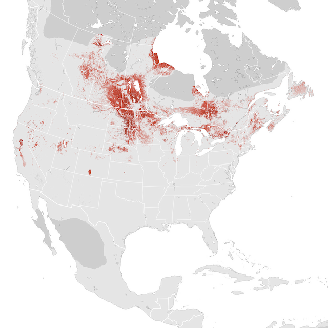 Abundance Map