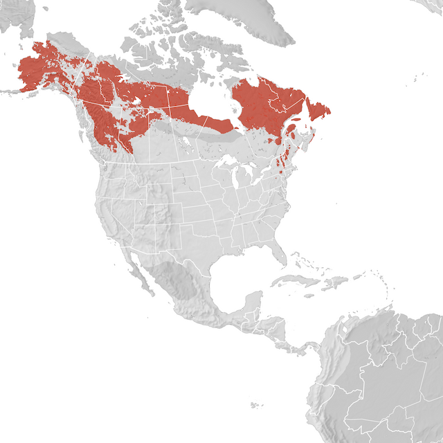Range Map