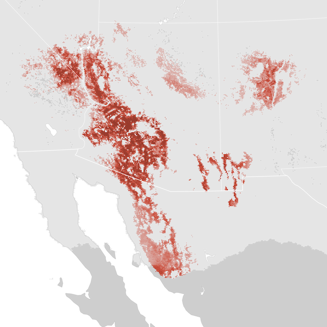 Abundance Map