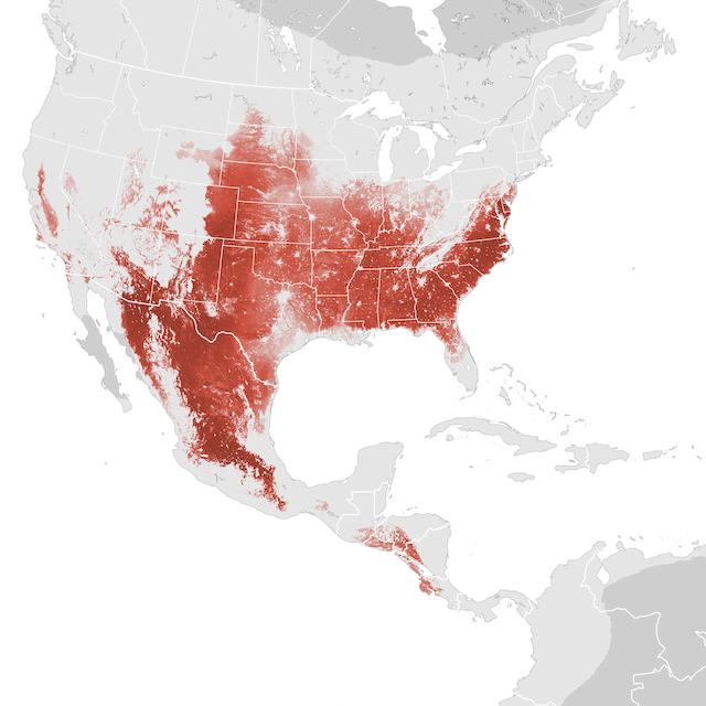 Abundance Map
