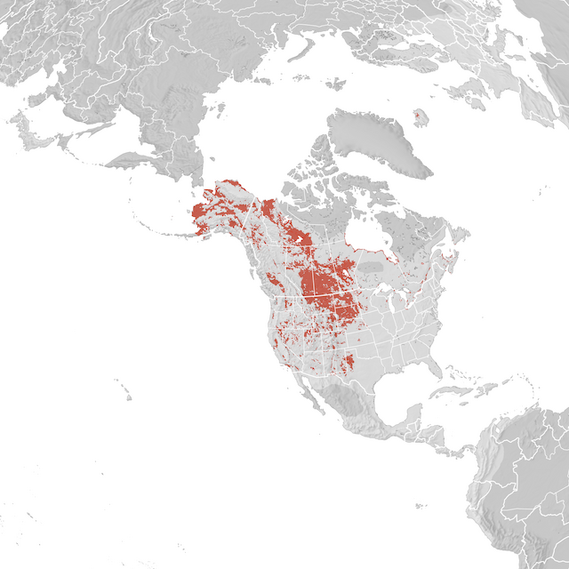 Range Map
