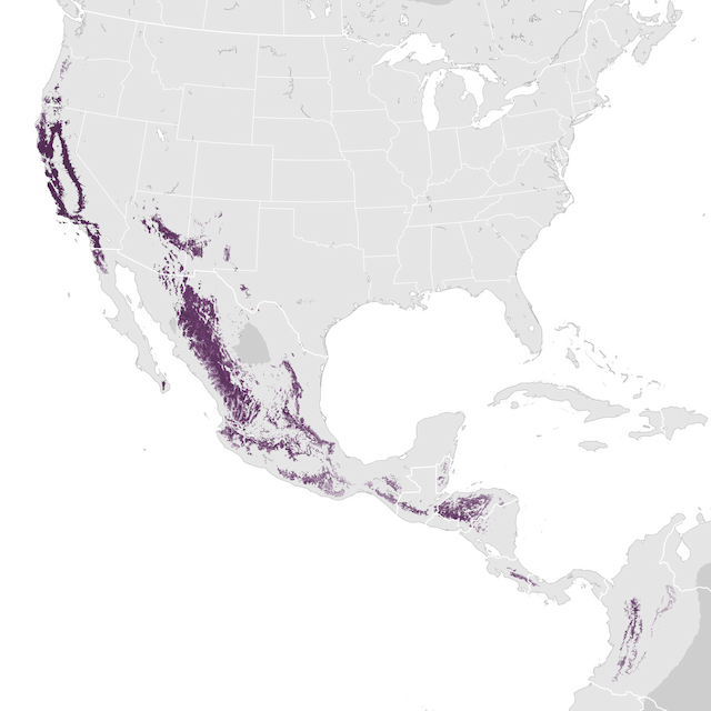 Abundance Map