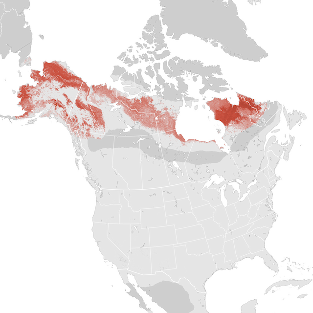 Abundance Map