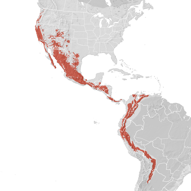 Range Map