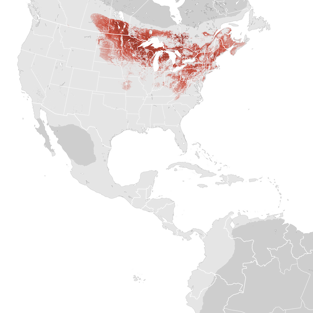 Abundance Map