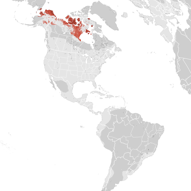 Abundance Map