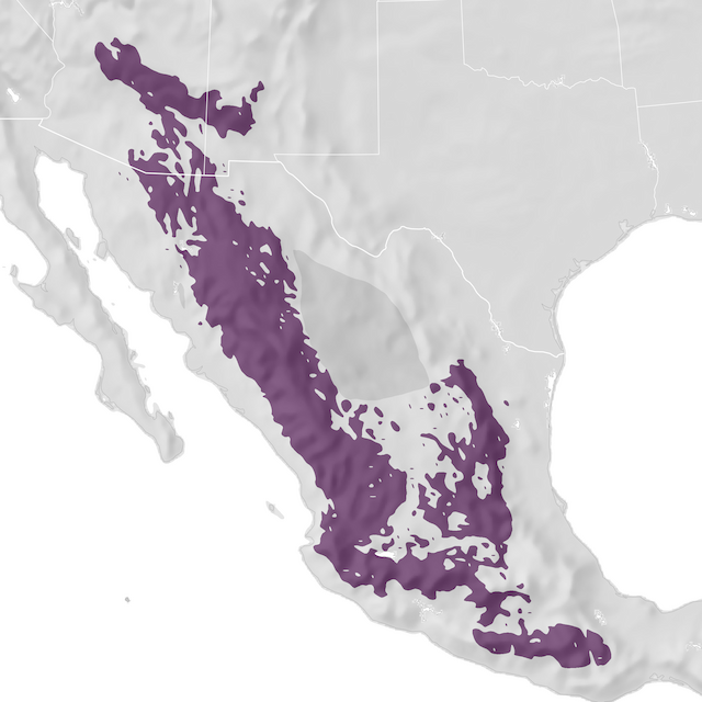 Range Map