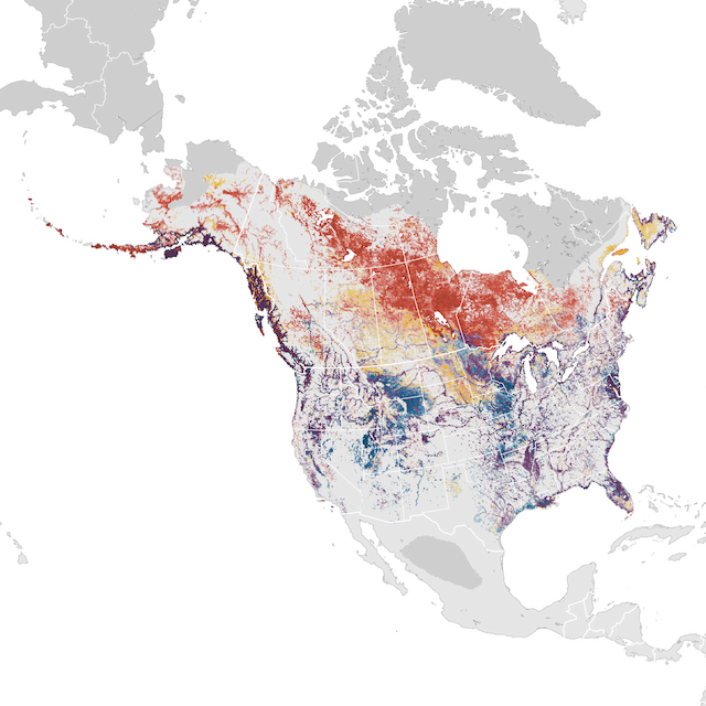 Abundance Map