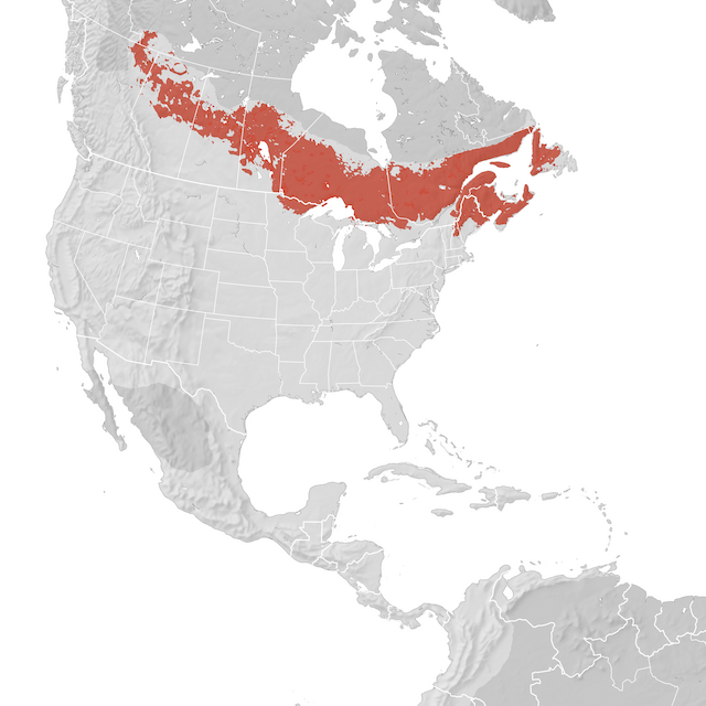 Range Map