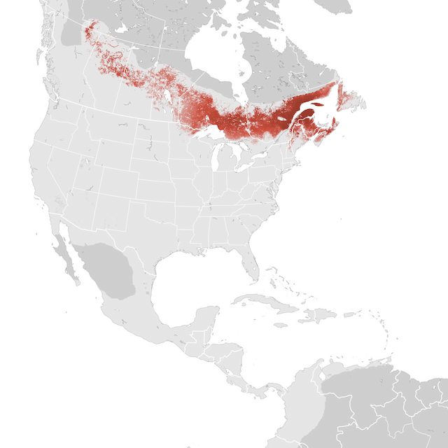 Abundance Map