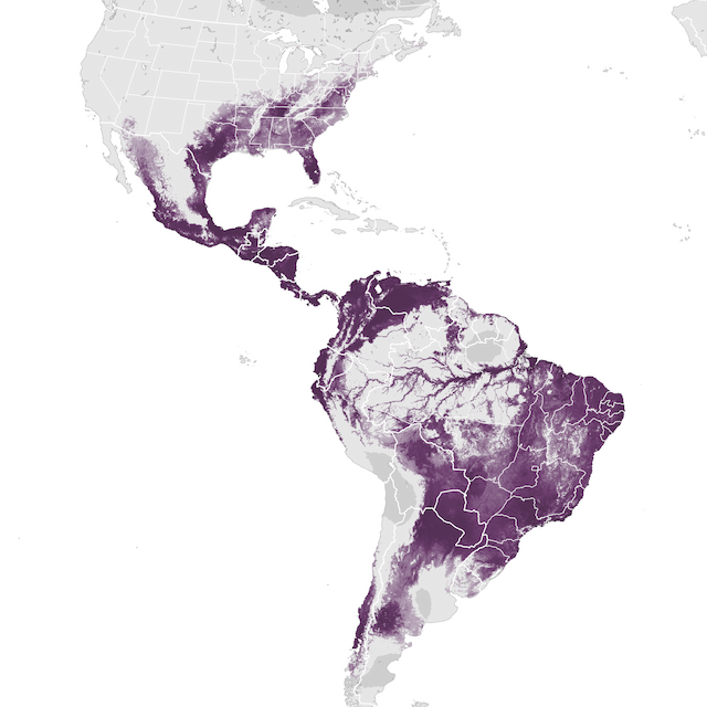 Abundance Map