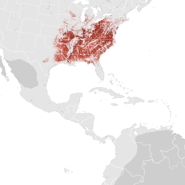 Abundance Map