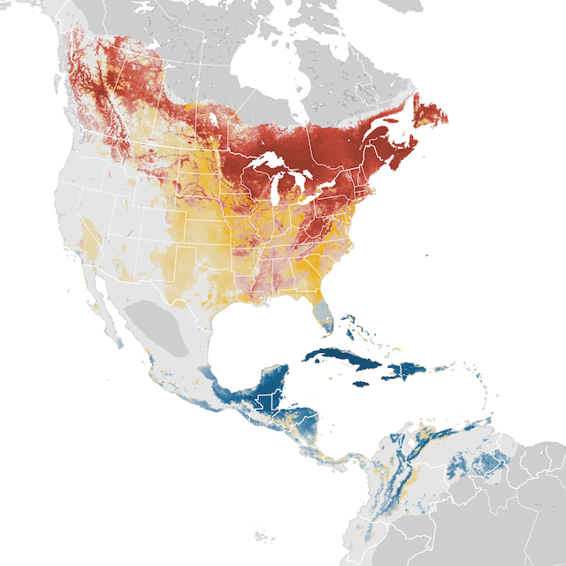 Abundance Map