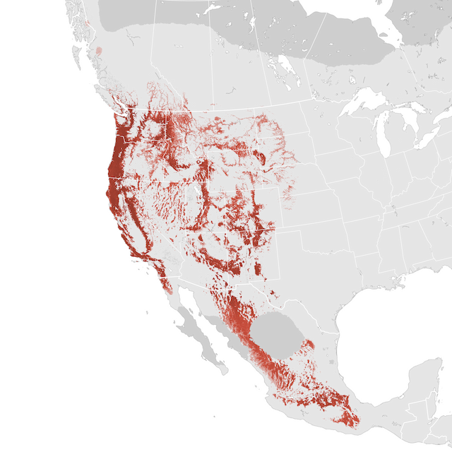 Abundance Map