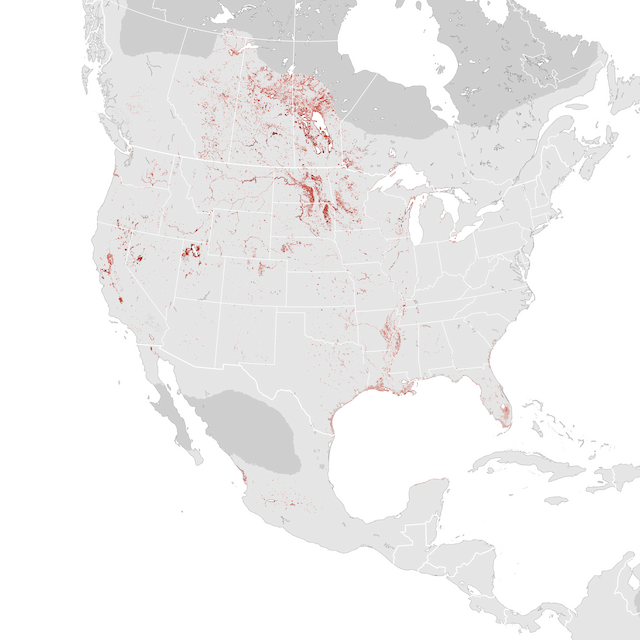Abundance Map