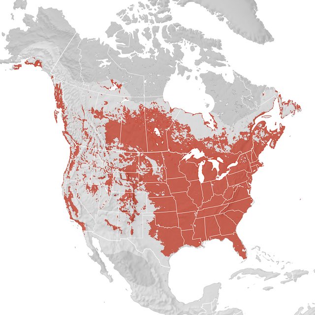 Range Map