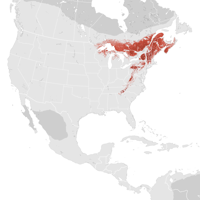 Abundance Map