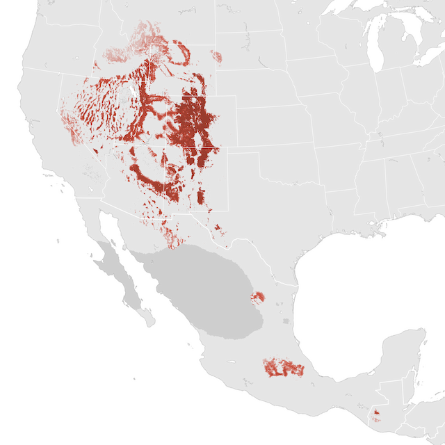 Abundance Map