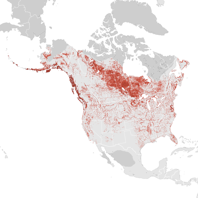 Abundance Map