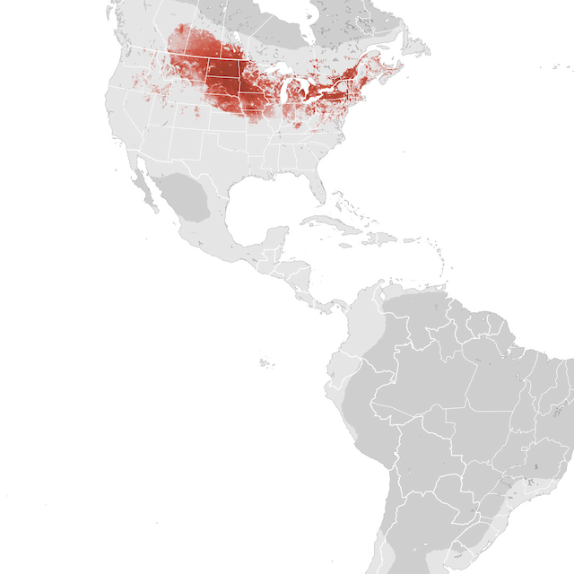 Abundance Map