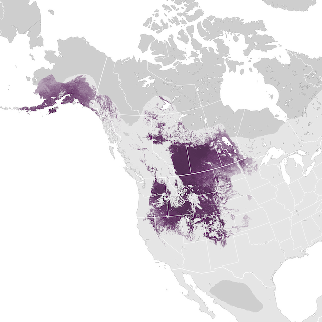 Abundance Map