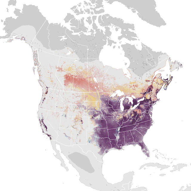 Abundance Map