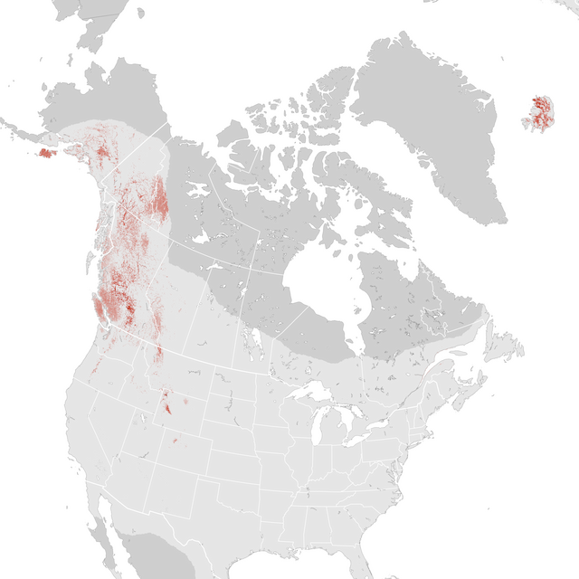 Abundance Map