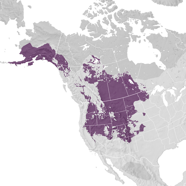 Range Map