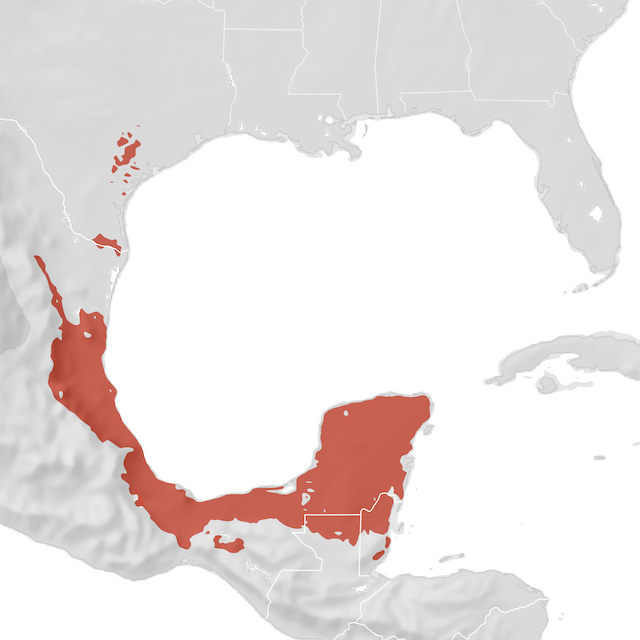 Range Map